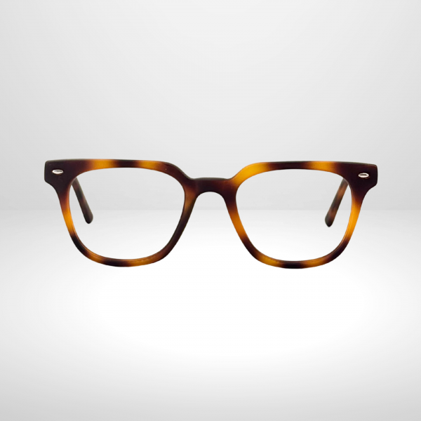 Óculos de Grau ELLAV MATTE WOOD DEMI 51